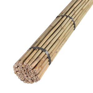 Nursery bamboo stakes /canes