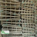 Bamboo plant trellis 3-7