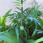 butterfly gripper-3