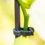combi clips-2